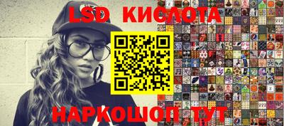 шишки Ставрополь