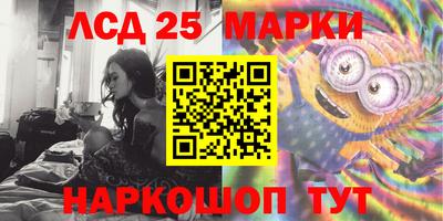 шишки Ставрополь