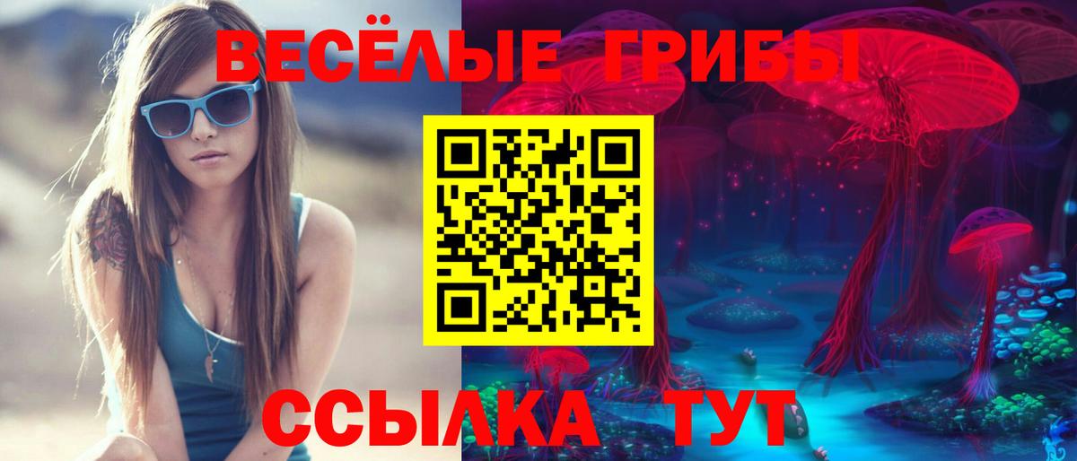 что такое наркотик  Вход с VPN  Галлюциногенные грибы MAGIC MUSHROOMS  Старая Купавна  Галлюциногенные грибы Cubensis 
