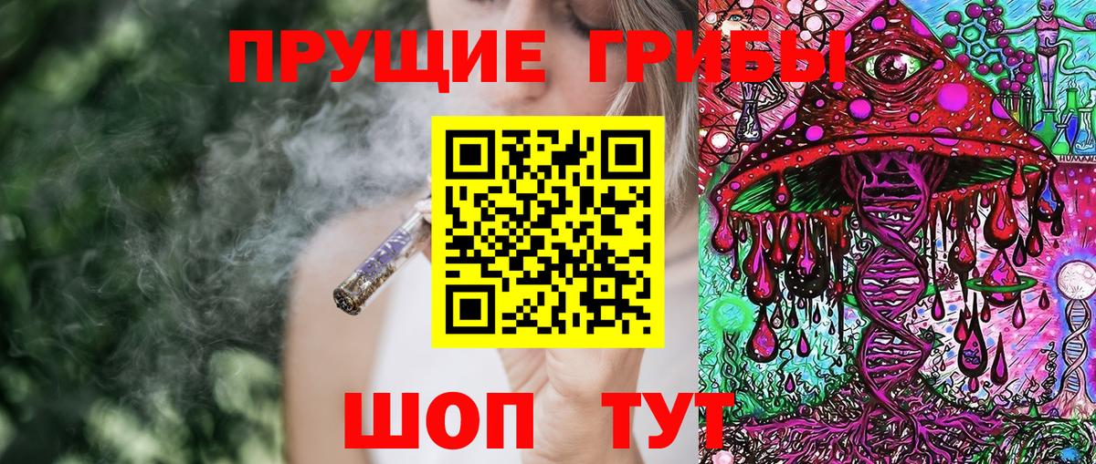 Псилоцибиновые грибы Psilocybe Старая Купавна
